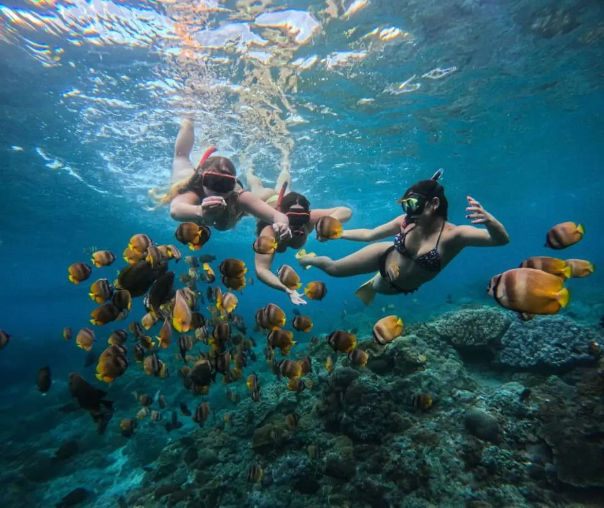 079a970d-c511-43af-b727-dc85fcf8dcf7