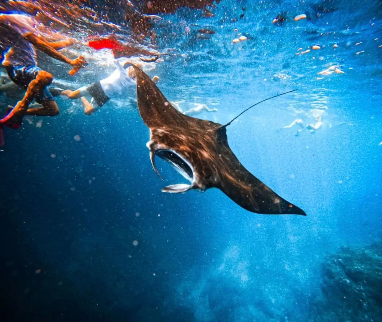 22d91ec5-a338-40e3-b82c-84666d2a47cd