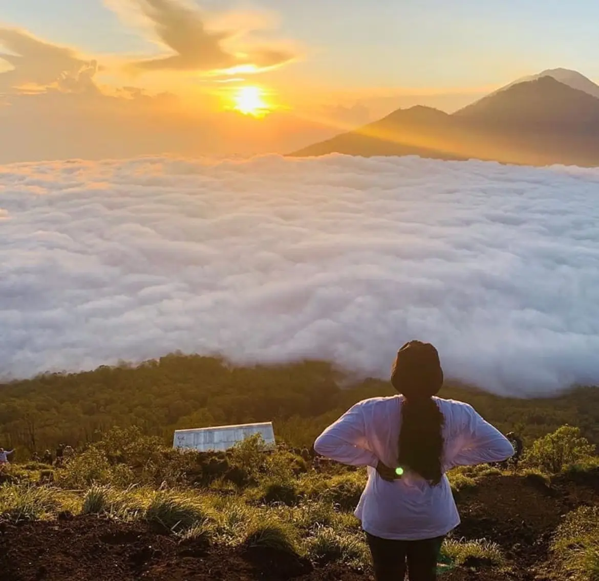 31608ff1-1ba9-44f2-8e92-69767ffafd29