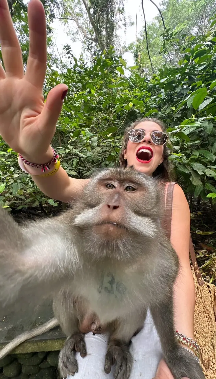 bcd50105-7e01-4dc2-be59-e2f2522d73ba