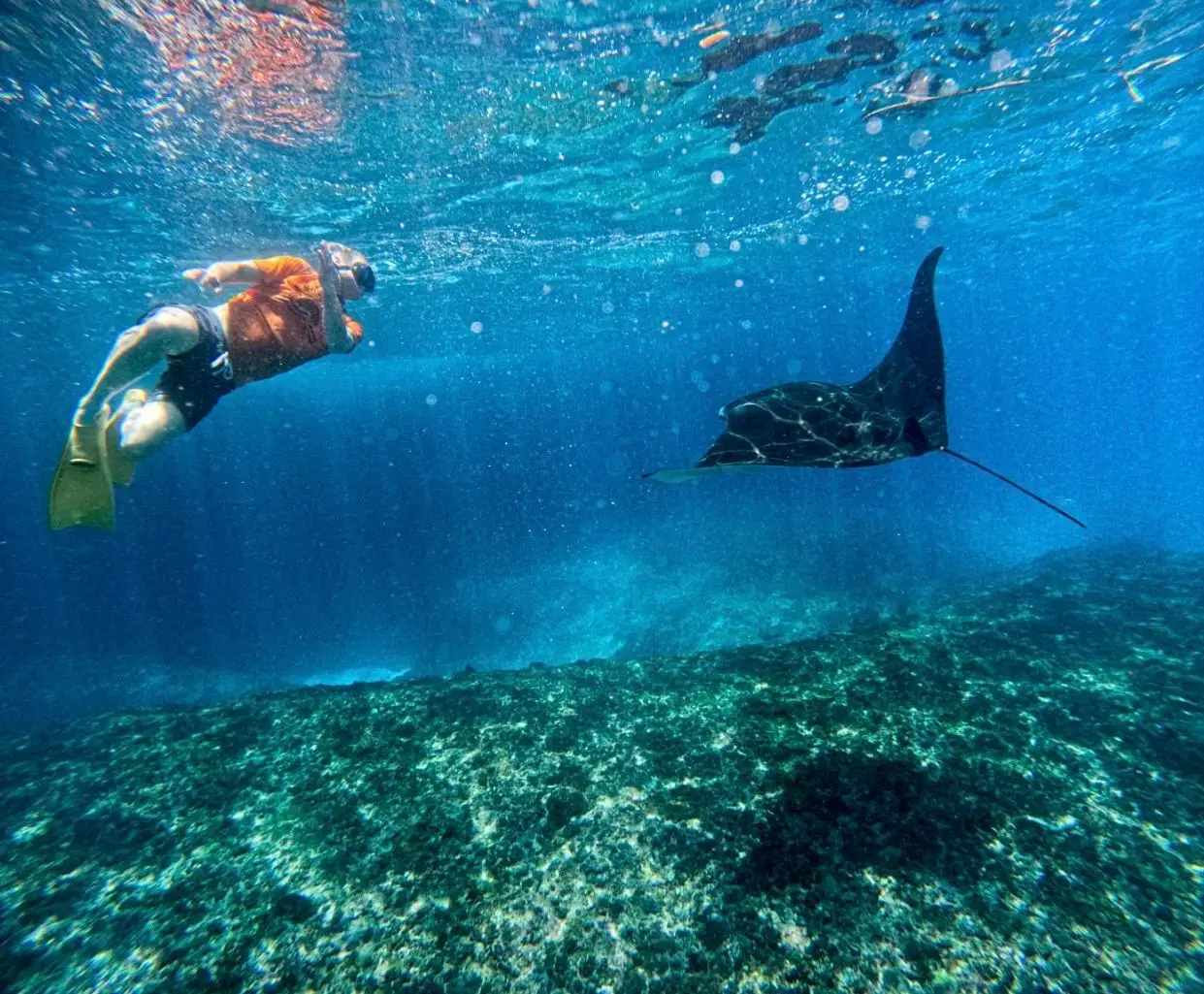 c5d54779-37b1-400d-a23c-a85f2255794c