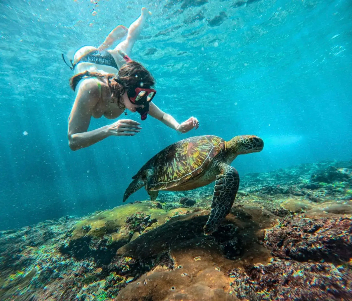 c6fa7c01-401e-44e6-a873-edfd2bc83f62