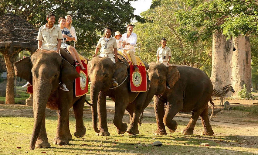 elephant-back-safari